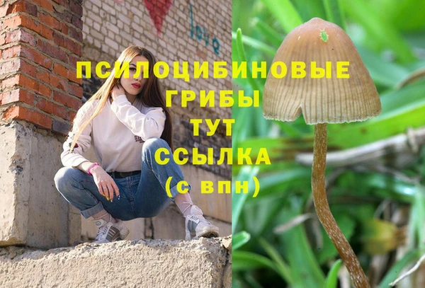 бутират Аркадак