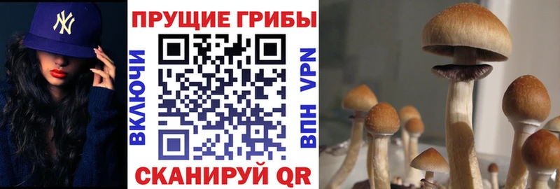 Псилоцибиновые грибы MAGIC MUSHROOMS  мега ссылка  Пенза 