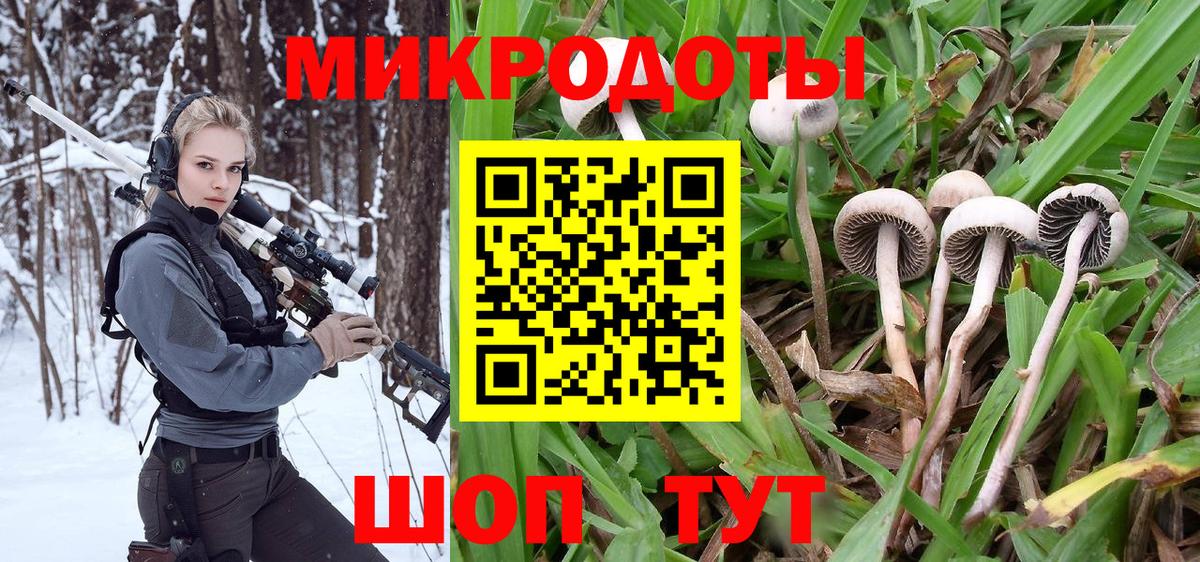 Пенза  Псилоцибиновые грибы MAGIC MUSHROOMS  Вход с VPN 