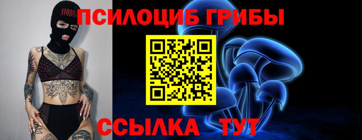 Галлюциногенные грибы GOLDEN TEACHER Пенза